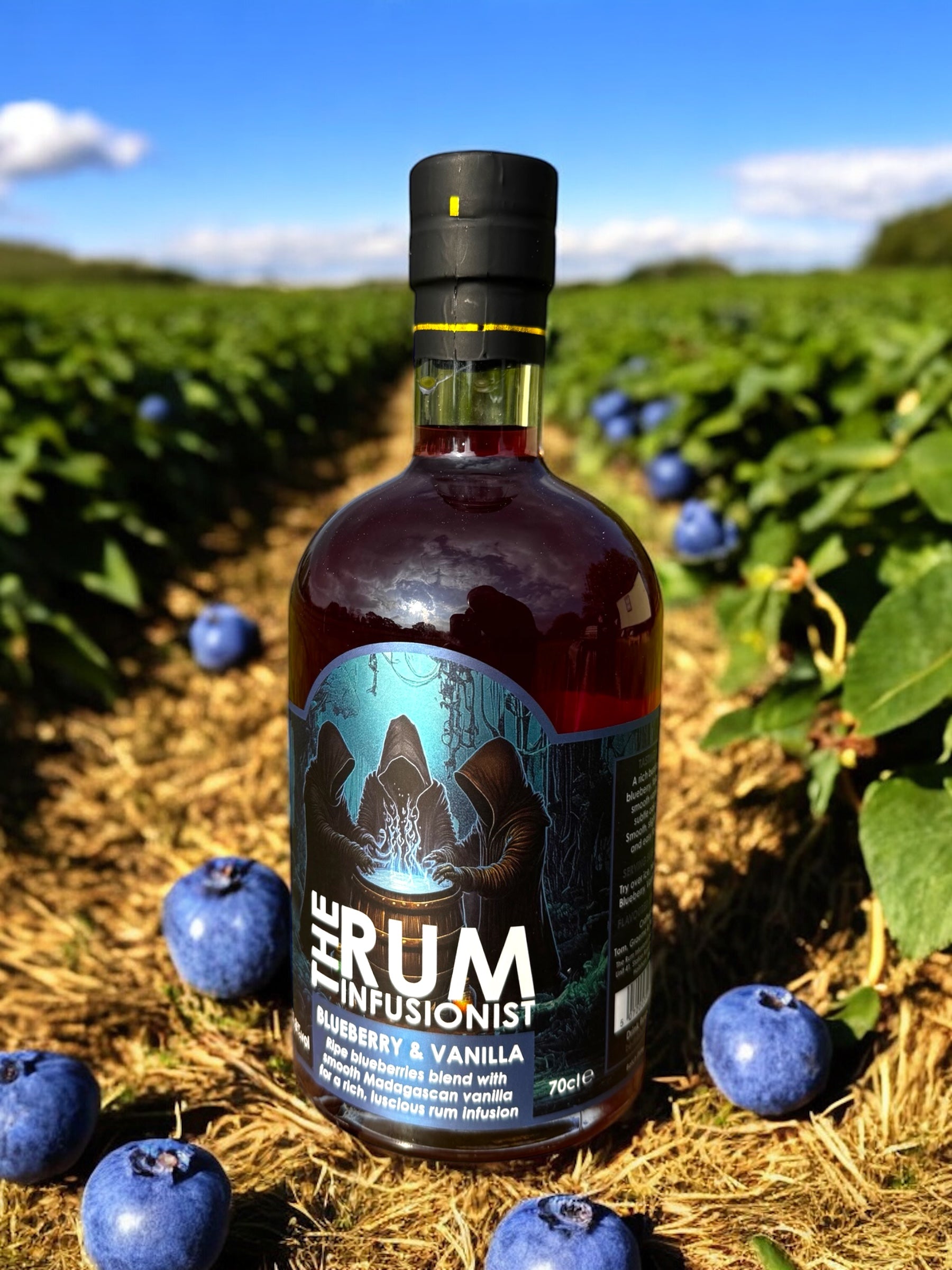 Blueberry & Vanilla Infused Rum - 70cl Bottle - 31.8% ABV