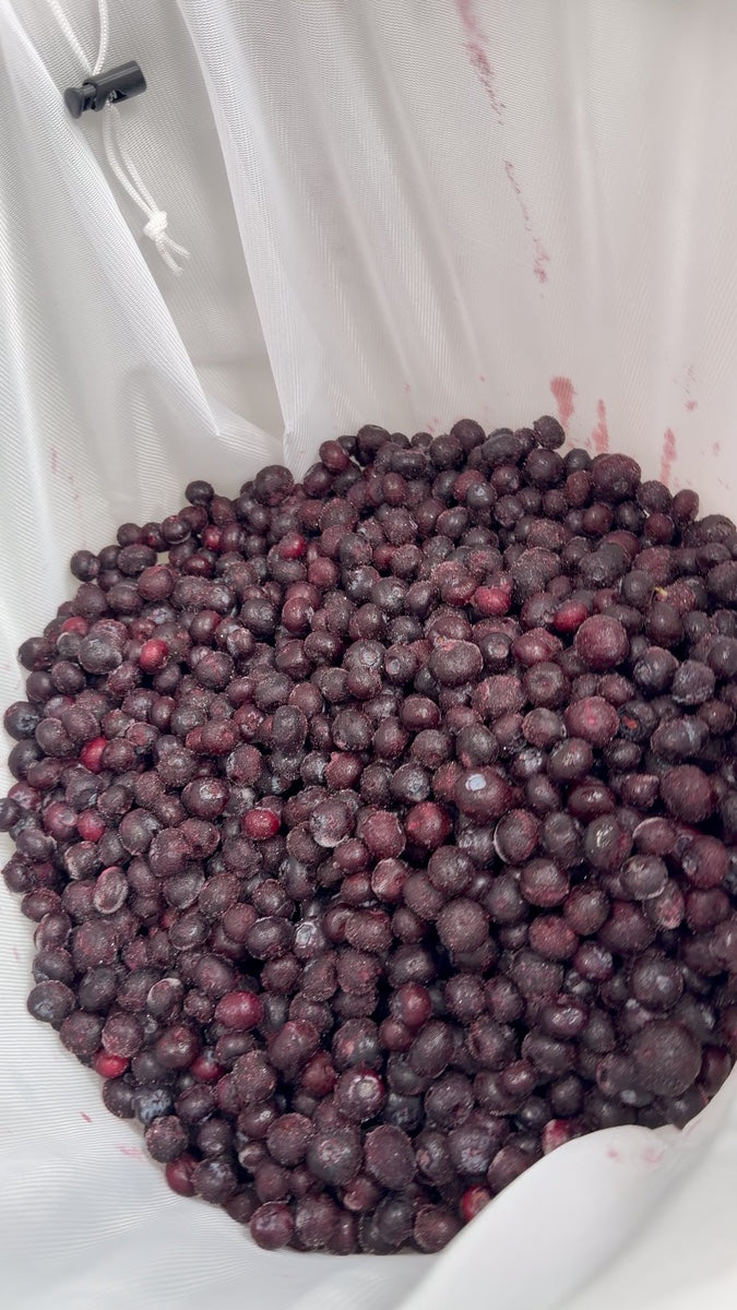 The blueberries, straight from frozen — every batch starts here